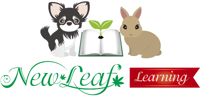 New Leaf Learning CD付幼児・子供向け英語絵本教材